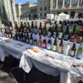 Langer, weiss gedeckter Tisch, darauf in mehreren Reihen zahlreiche verschieden etikettierte Bierflaschen und -dosen